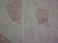 Best Western Cartersville Pool Close up.MOV Best Western Cartersville Pool Close up.MOV