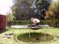 Trampoline Wrestling