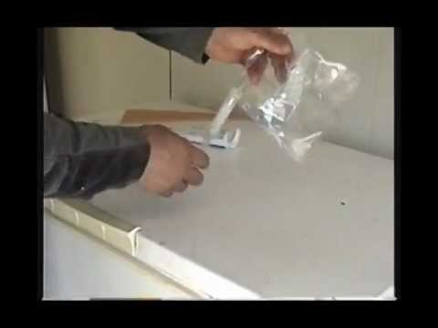 how to collect sperm from a male dog