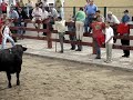 Largada de Toiros :Vila franca 2006