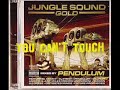 Jungle Sound Gold - Mixed by Pendulum (2)