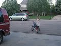 Bunny Hop Over The Trashcan