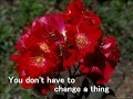 Nothing Gonna Change My Love For You