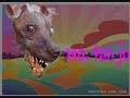 xoloitzcuintle chicloso - porter xoloitzcuintle chicloso - porter