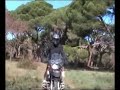 Honda Varadero Yamaha TDM 900 BMW R 1200 GS forest Kalogria