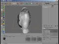 C4D topology tuts