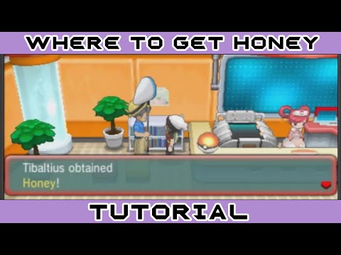 how to get honey in pokemon y