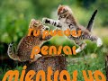 NO HAY OTRA MANERA