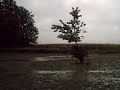 The Bi-annual Nolden Flood (part un of deux) The Bi-annual Nolden Flood (part un of deux)