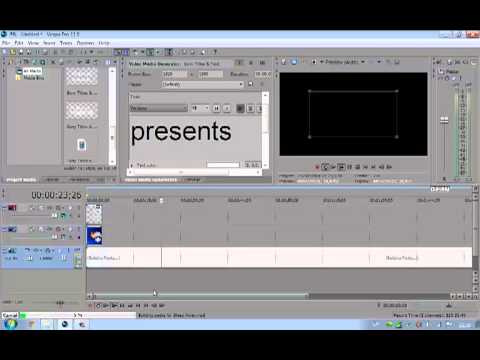     vegas pro 13