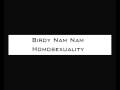 clip video Birdy Nam Nam Homosexuality