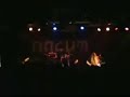 live from the great nasum in m�nchen! mieszko rip!