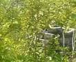 videos de asalto torre gotcha conkal
