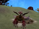 Spore - Creature Stage - Gameplay Spore - Creature Stage - Gameplay