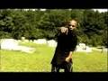 Zayd feat: stic.man of dead prez RBG Till I Die