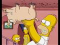 Simpsons The Love Between Homer And Spiderpig