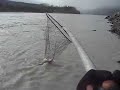 Chitina Dipnetting Chitina Dipnetting