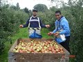 Click here to watch this video PANDUAN KERJA DI UK (CARA PERGI PERCUMA)