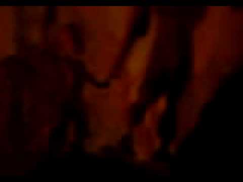Megaloceros