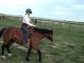 Jade Riding Frezno and Red Jade Riding Frezno and Red