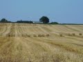 Fendt930 + BB980 Fendt930 + BB980