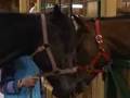 videos de The Saddle Club - Video Journal 2 ( Here I am )
