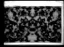 Symmetric Automaton Symmetric Automaton