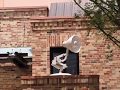 Luxo Jr. Debuts at Pixar Place, Disney's Hollywood Studios