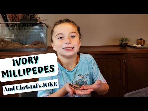 YouTube reptile video
