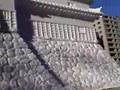 さっぽろ雪まつり動画14