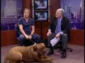 Large Dog Brings End To Interview