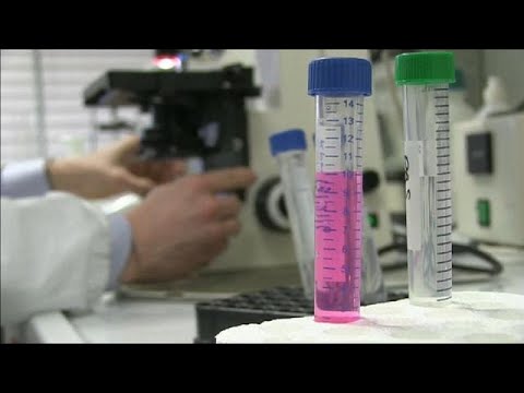 Frankreich: Die Tigermücke sticht zu - die Ausbreit ...