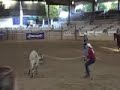 LA Gay Rodeo Steer Decorating Saturday