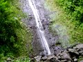 Manoa Falls 1 Manoa Falls 1