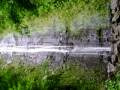 videos de Manoa Falls 1