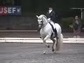 rociero xv   harrison  naness kur 2007 natl