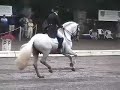 rociero xv   harrison  naness kur 2007 natl