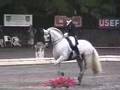 Rociero XV & Harrison- Naness Kur 2007 NAT'L