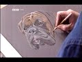 Sally Logue Drawing Pet Portraits from photos