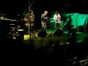 stefano bollani 
