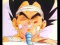 dbz in the end