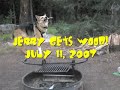 Three-Legged Dog Gettin' Crazy in the Wood Pile