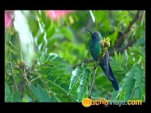 Watch 'Santiago de Cuba'