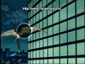 NAMI SOS HENTAI ANIME