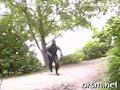 The Urban ninja I