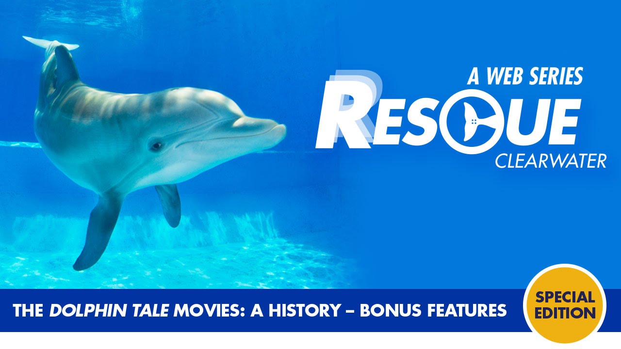 Rescue Clearwater Clearwater Marine Aquarium