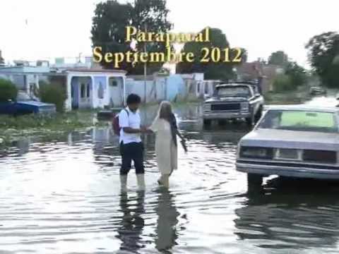 Lago Los Tacariguas - El caso del Lago de Valencia, está considerado como el principal y más grave problema ambiental de Venezuela. Sin embargo, más allá de la consideración ambie...