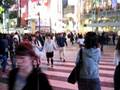 Busy intersection at Shibuya Crossing in Tokyo