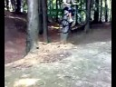 in de muziekbos 9600/3