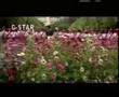 nirnayam nag song....hello guruuuuuuuu